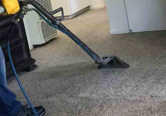 Best Carpet Cleaning Nundah