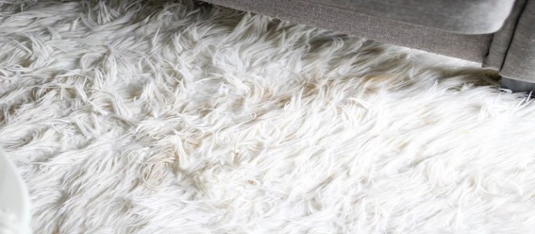 Clean Your Woolen Carpets at Home